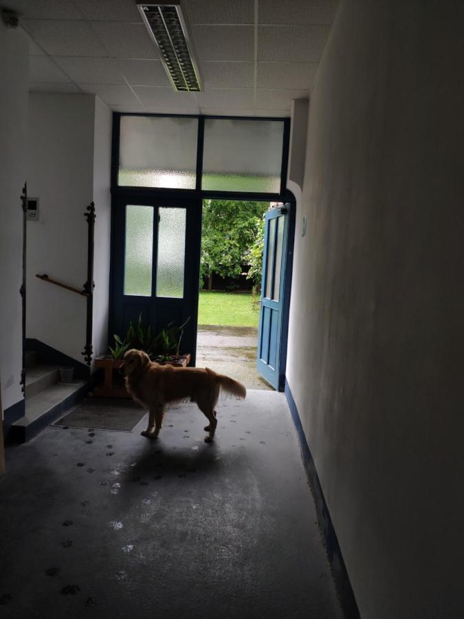 1210apartment Wien