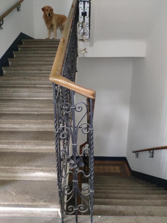 1210apartment * Viena
